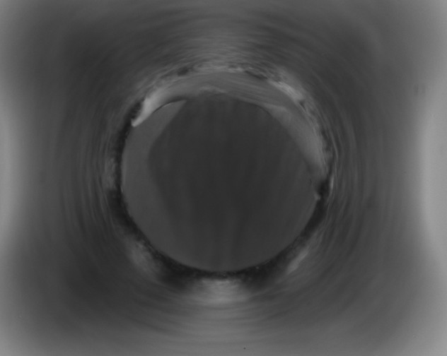 X0000085300689200703302001