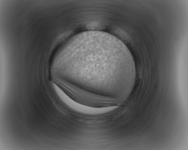 X0000085300690200703302001