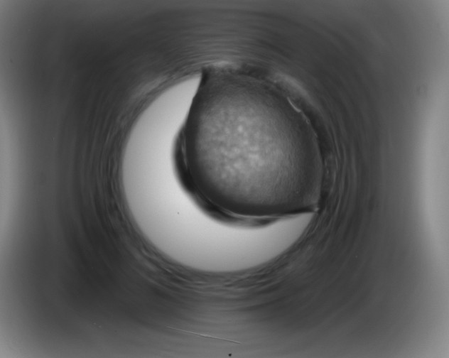 X0000085300692200703302001