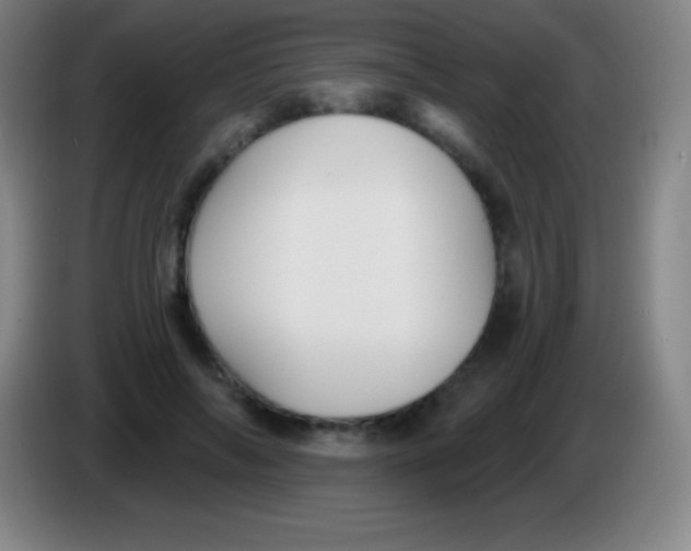 X0000085300694200703302001