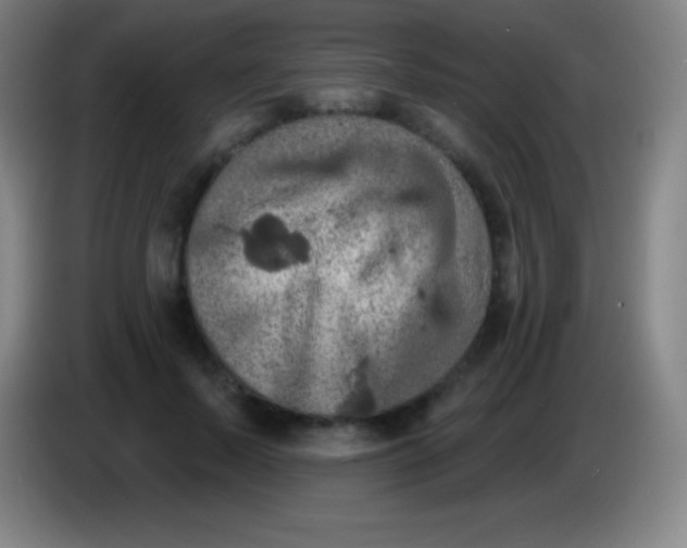 X0000085300695200703302001
