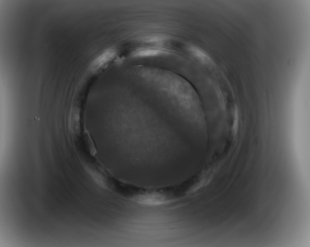 X0000085300696200703302001