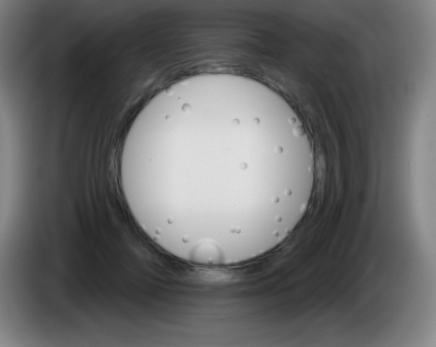 X0000085300698200703302001