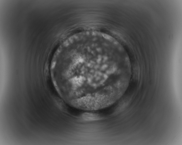 X0000085300699200703302000