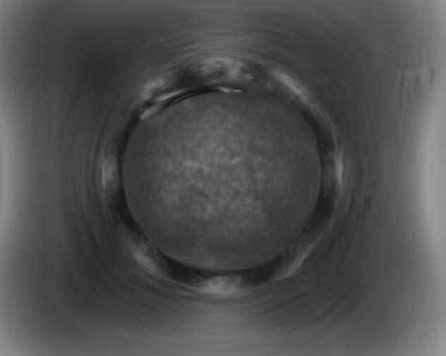 X0000085300700200703302000
