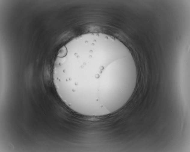 X0000085300702200703302000