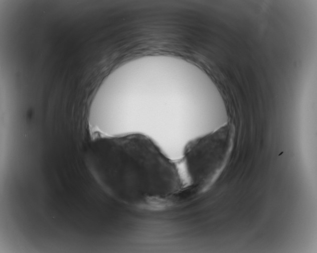 X0000085300703200703302000