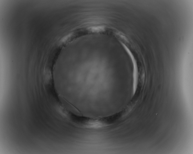 X0000085300704200703302000