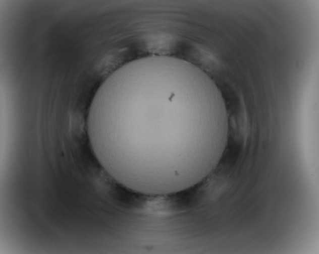 X0000085300705200703302000