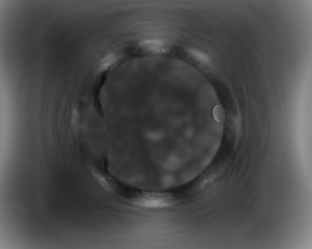 X0000085300707200703302000