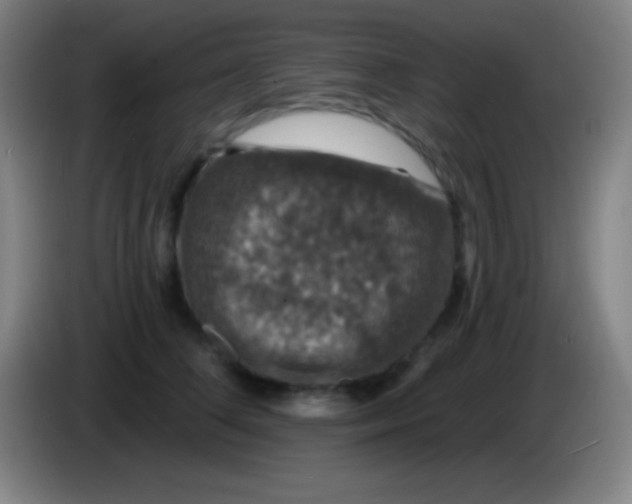 X0000085300708200703302000
