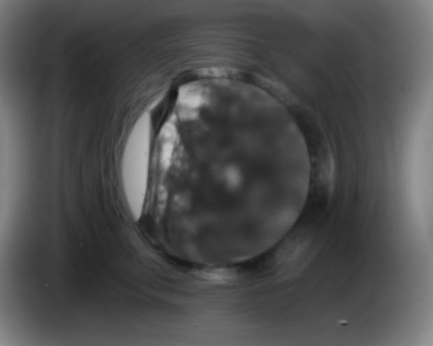 X0000085300711200703302000