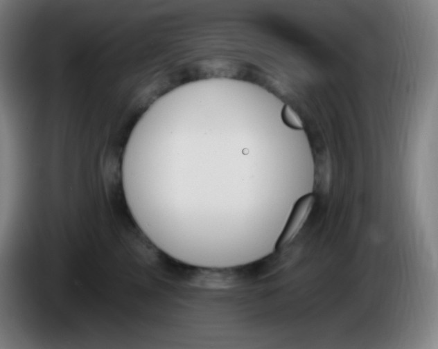X0000085300713200703302000
