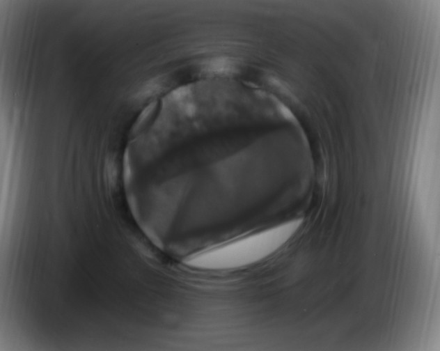 X0000085300715200703302000