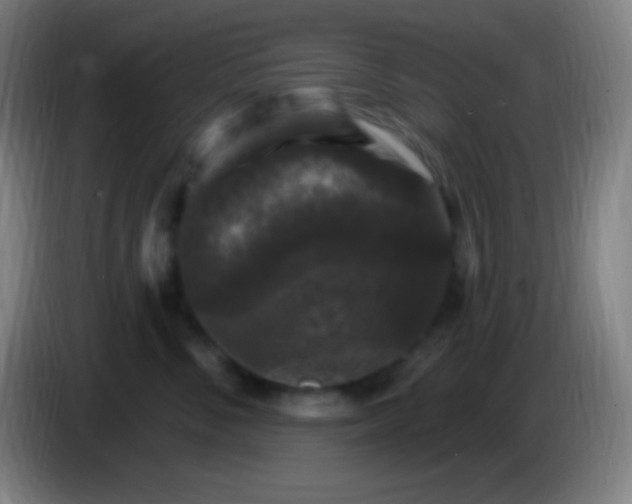 X0000085300716200703302000