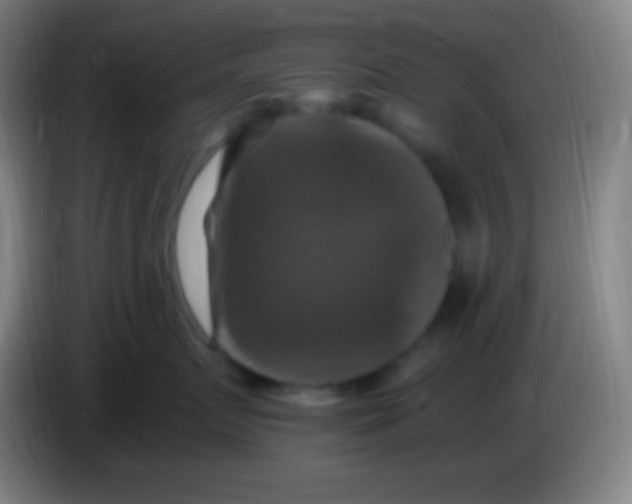 X0000085300719200703302000