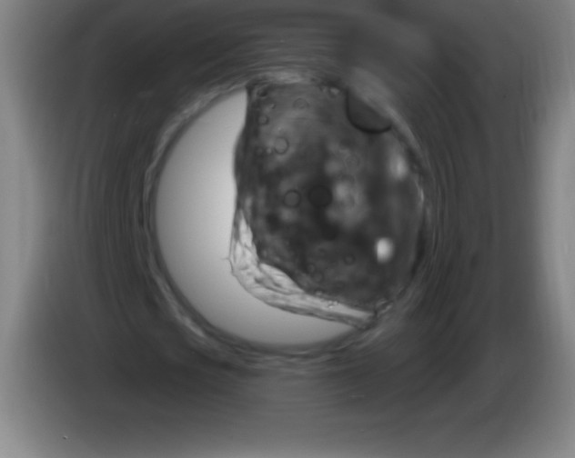 X0000085300721200703301959