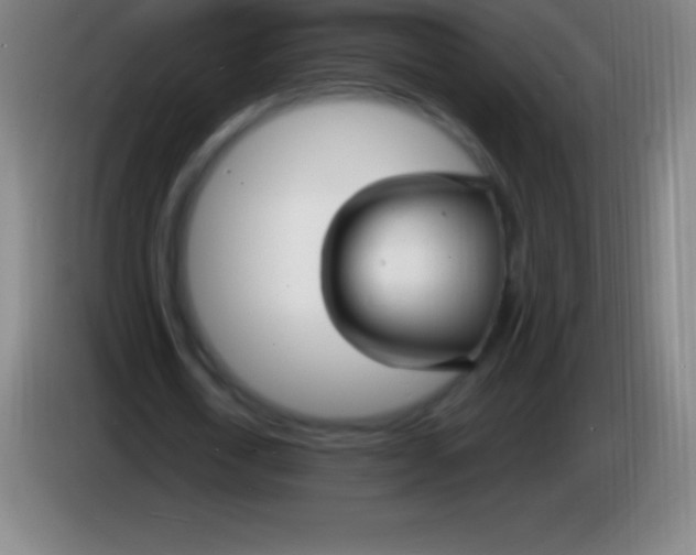 X0000085300722200703301959
