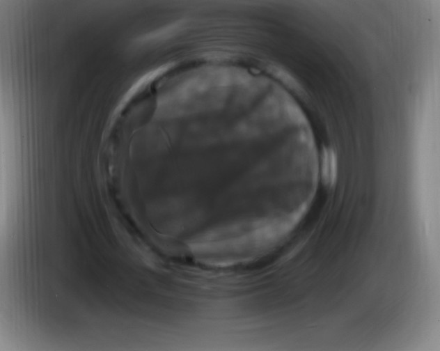 X0000085300723200703301959
