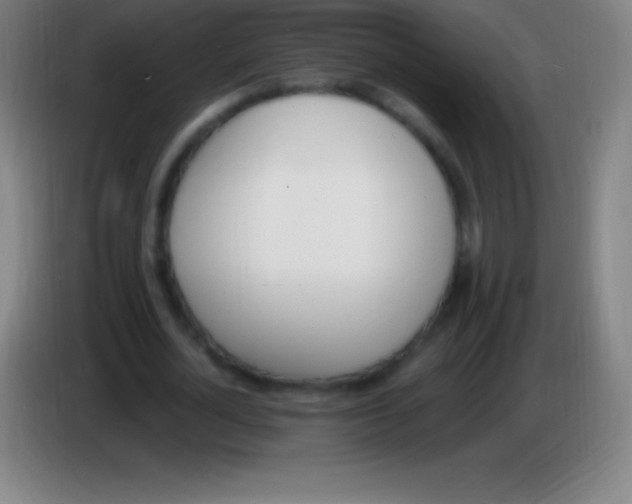 X0000085300724200703301959