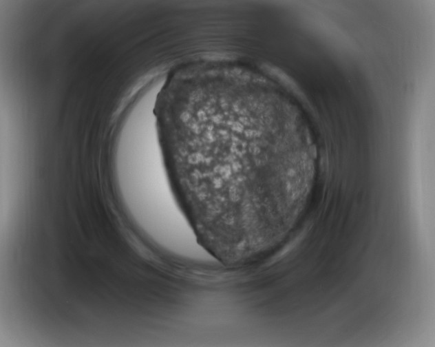 X0000085300725200703301959