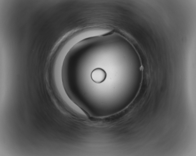 X0000085300728200703301959