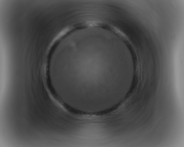 X0000085300730200703301959
