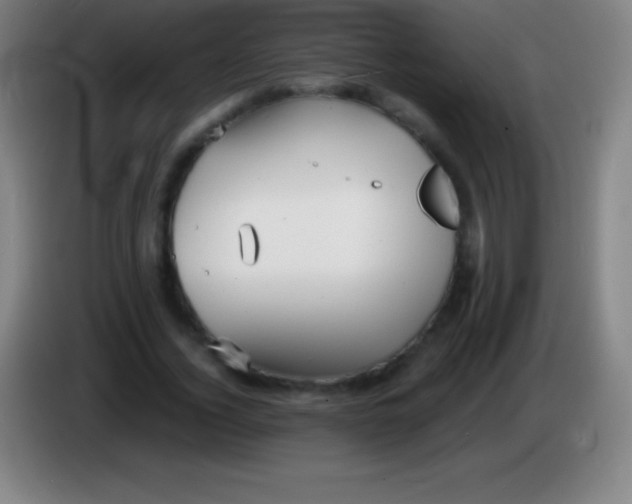 X0000085300732200703302000