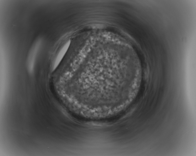 X0000085300733200703302000