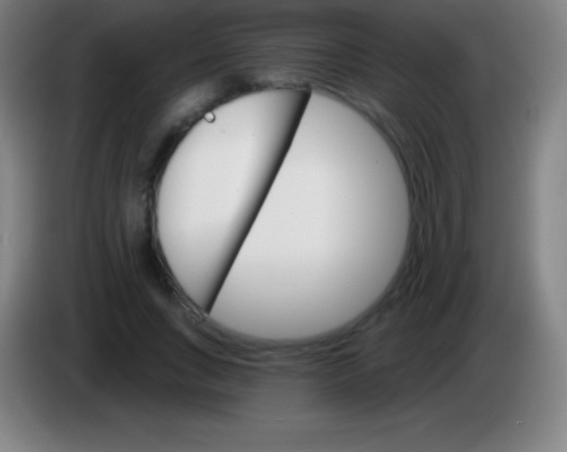 X0000085300735200703302000