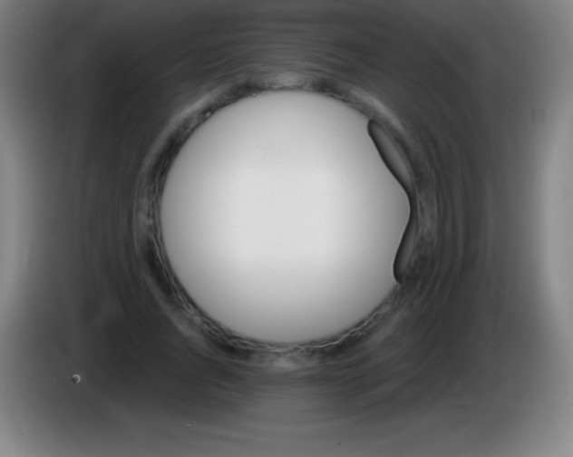 X0000085300736200703302000