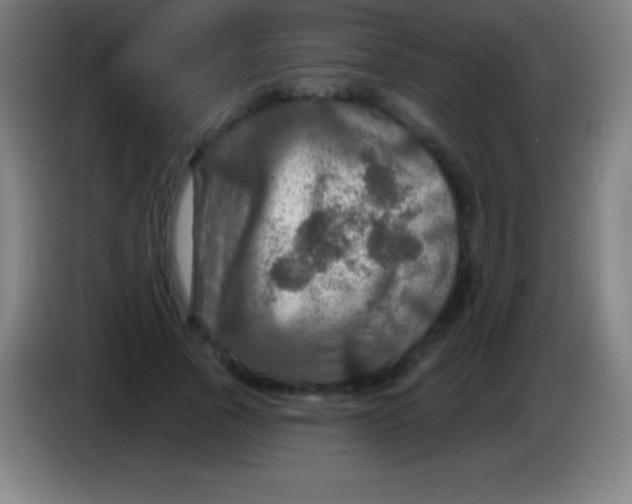 X0000085300737200703302000