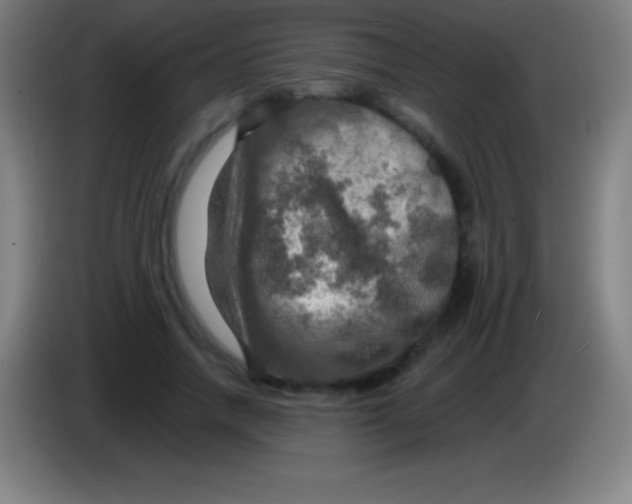 X0000085300738200703302000
