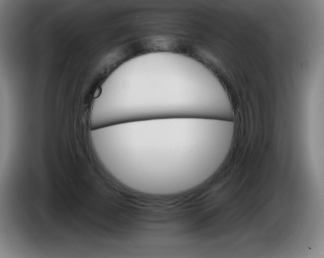 X0000085300739200703302000