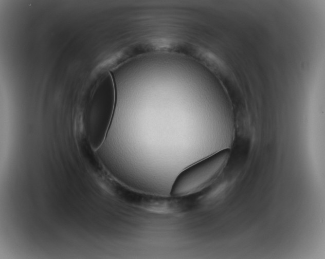 X0000085300740200703302000