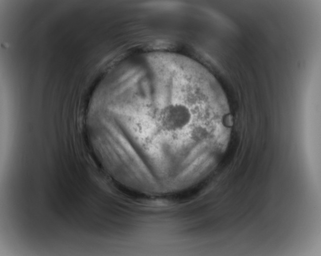 X0000085300741200703302000