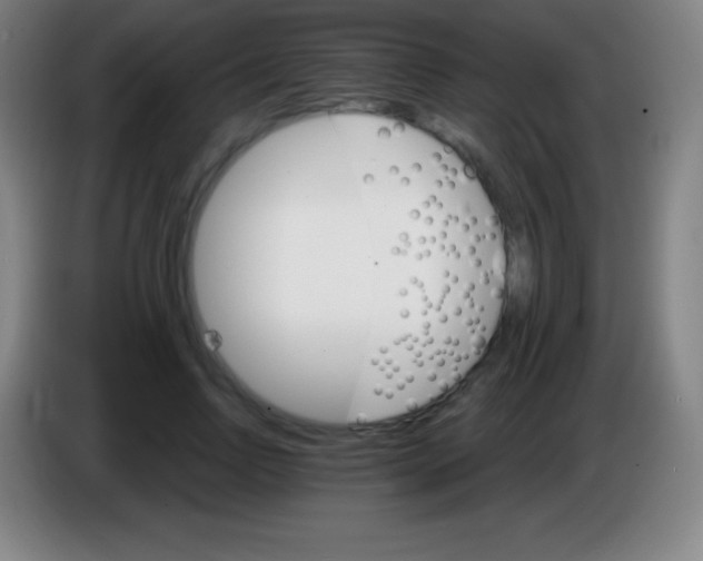 X0000085300742200703302000