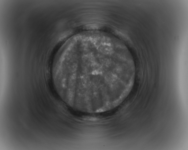 X0000085300743200703302000