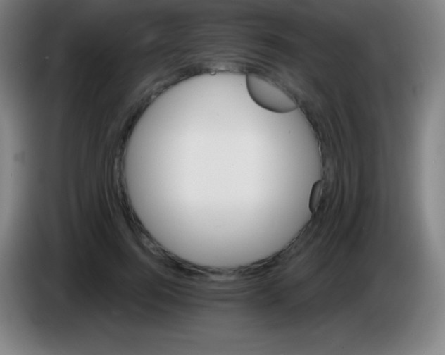 X0000085300744200703302000