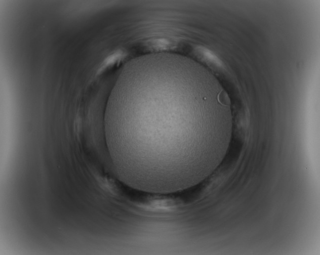 X0000085300746200703302000