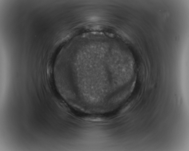 X0000085300747200703302000