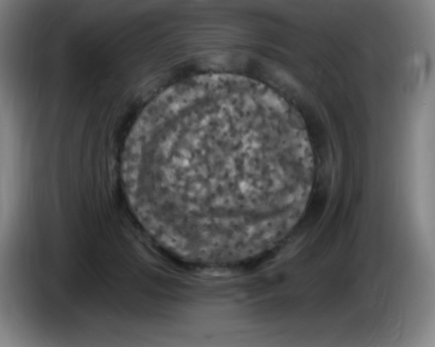 X0000085300749200703302000