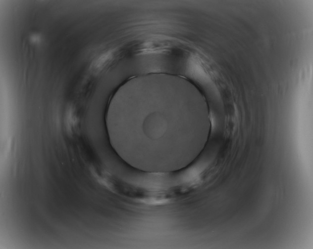X0000085300750200703302000
