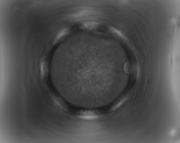 X0000085300751200703302000