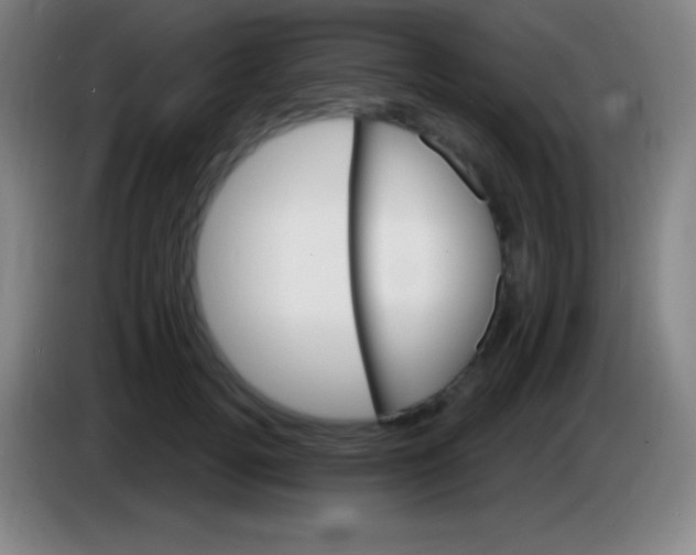 X0000085300752200703302000
