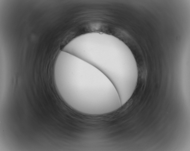 X0000085300754200703302000