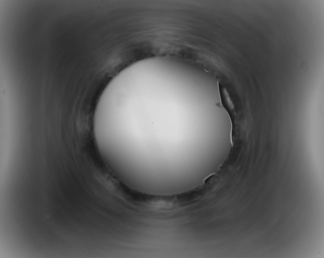 X0000085300756200703302000