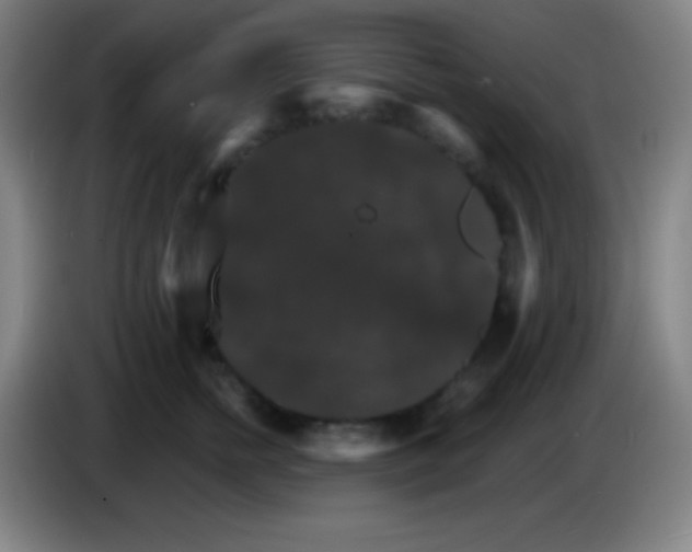X0000085300758200703302000