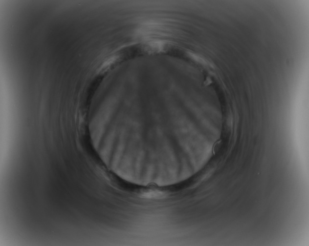 X0000085300759200703302000