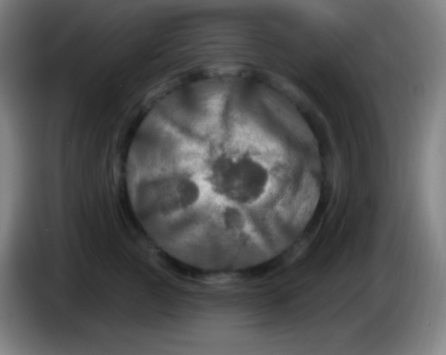 X0000085300761200703302000